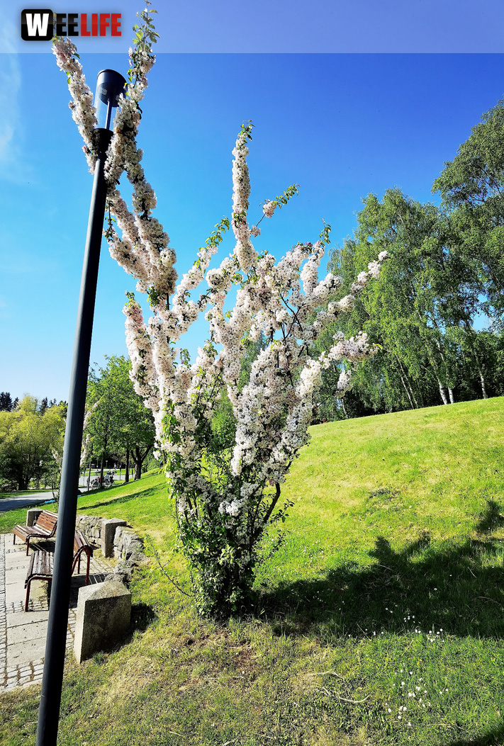 Untreusee 15.5.2022