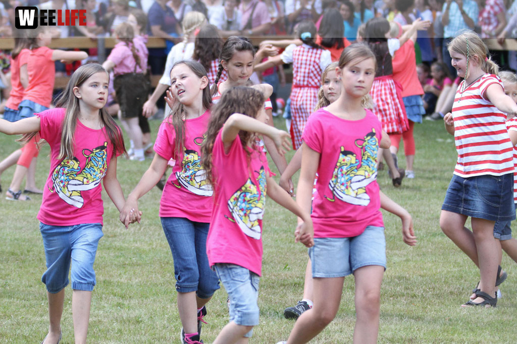 Selber Heimat- und Wiesenfest