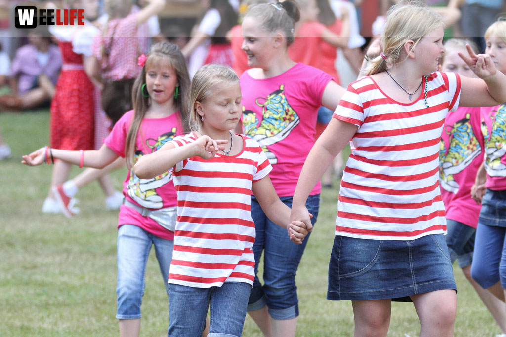 Selber Heimat- und Wiesenfest