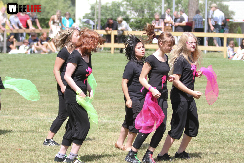 Selber Heimat- und Wiesenfest