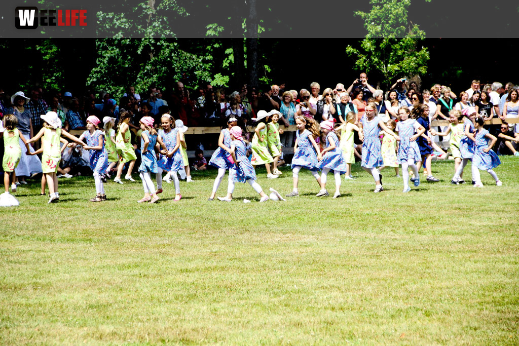 Selber Heimat- und Wiesenfest