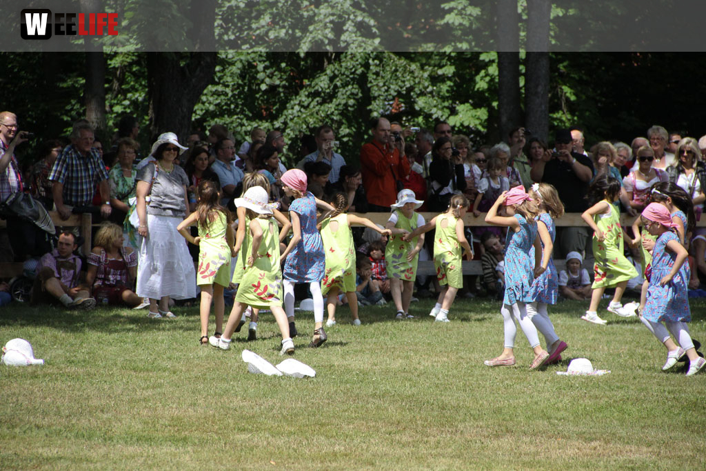 Selber Heimat- und Wiesenfest