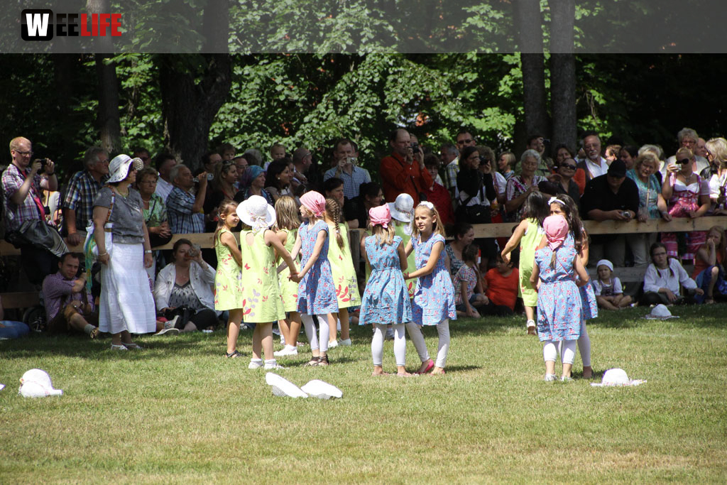 Selber Heimat- und Wiesenfest