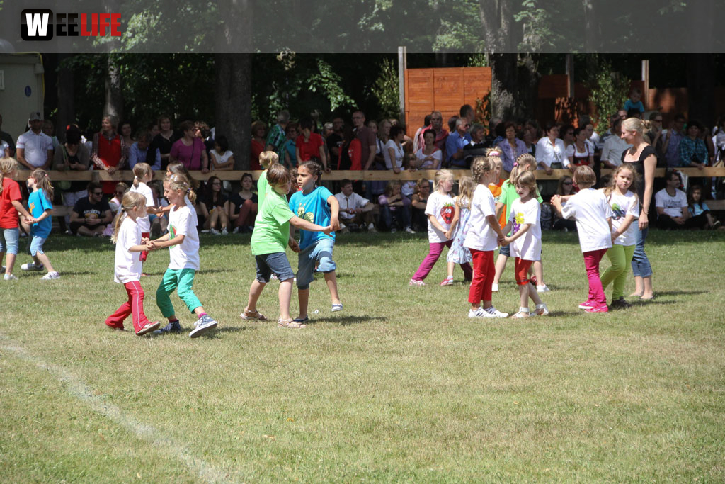 Selber Heimat- und Wiesenfest