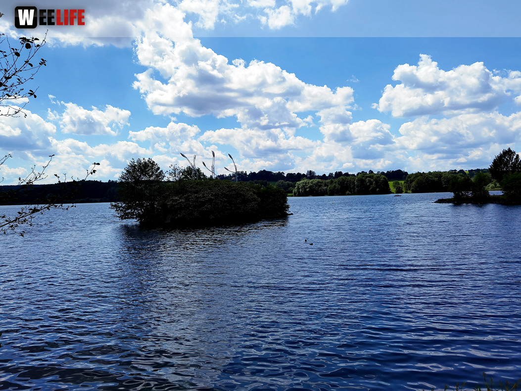 Untreusee 12.6.22