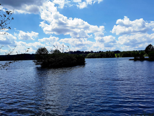 Untreusee 12.6.22 – Foto 5