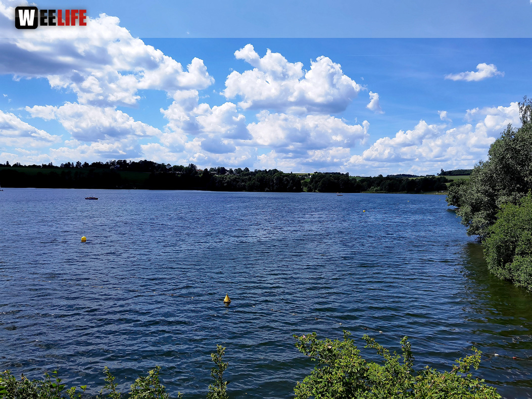 Untreusee 12.6.22