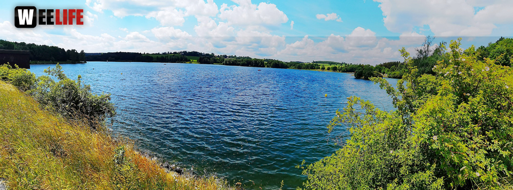 Untreusee 12.6.22