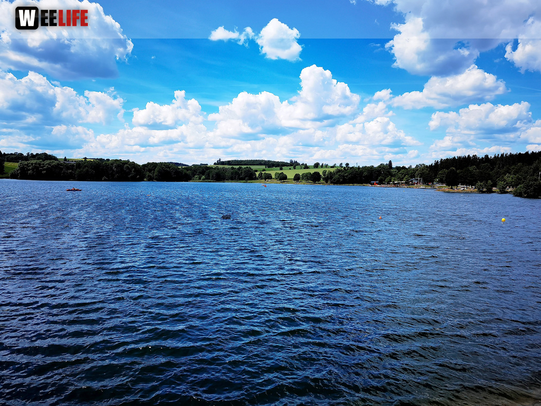 Untreusee 12.6.22
