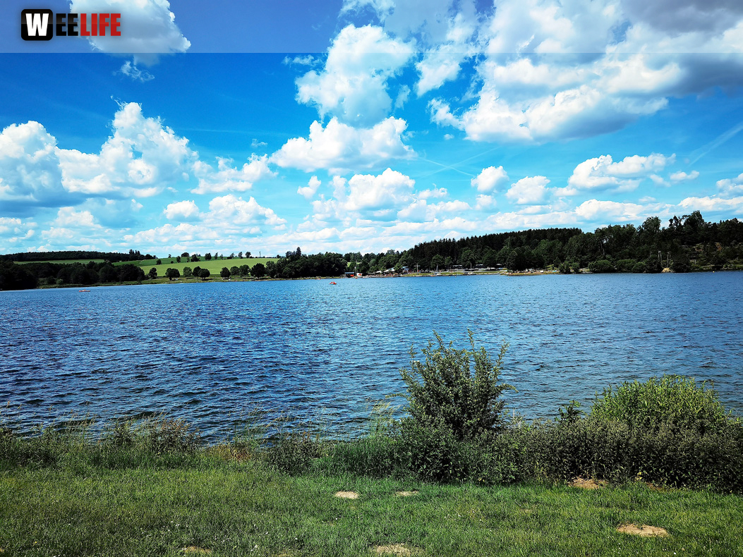 Untreusee 12.6.22