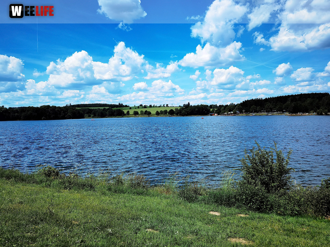 Untreusee 12.6.22