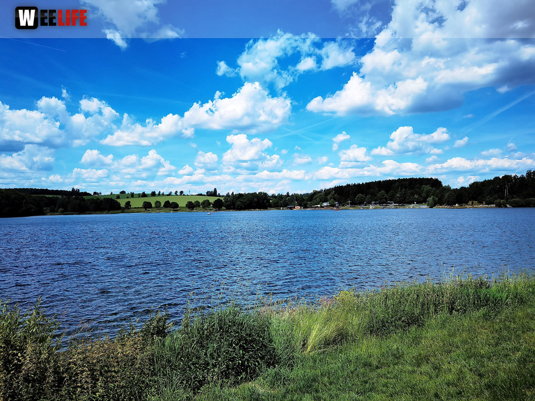 Untreusee 12.6.22