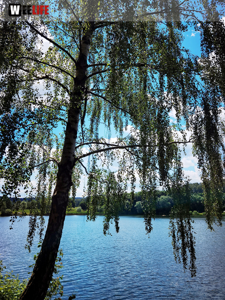 Untreusee 12.6.22
