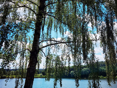 Untreusee 12.6.22 – Foto 16