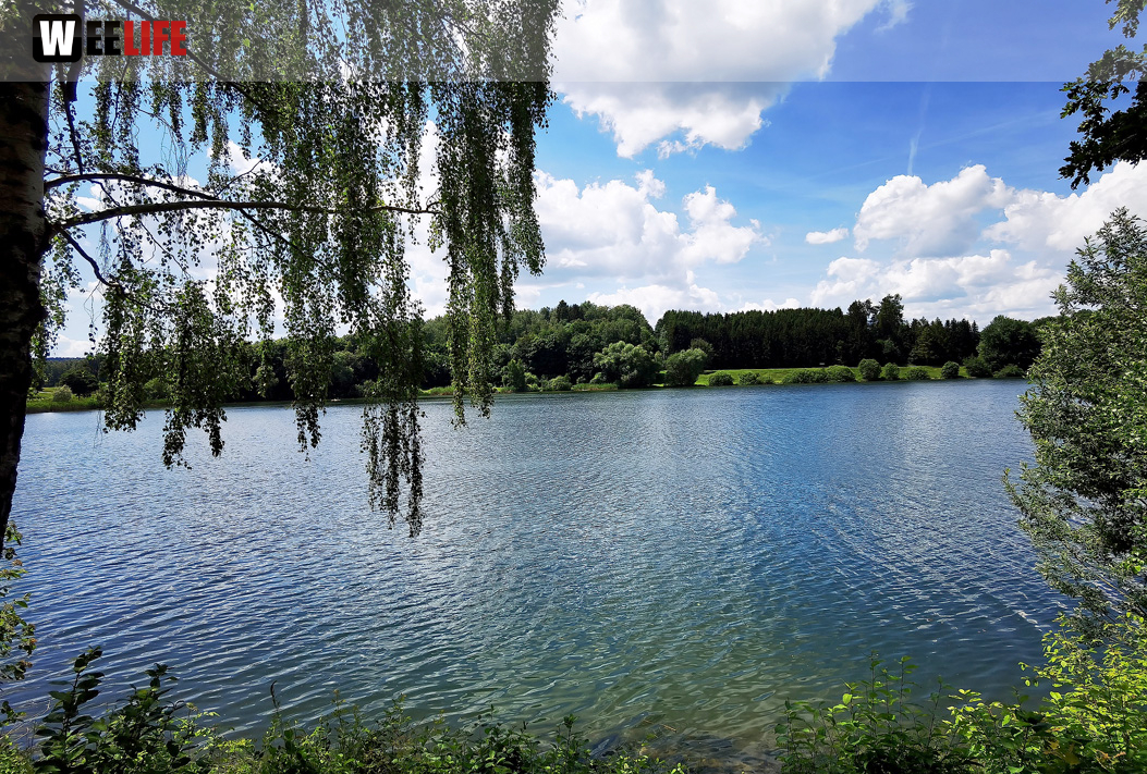 Untreusee 12.6.22