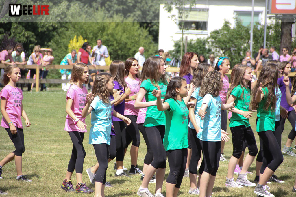 Selber Heimat- und Wiesenfest