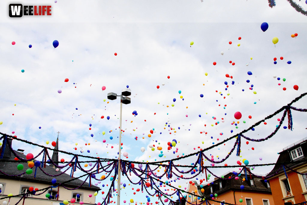 Selber Heimat- und Wiesenfest