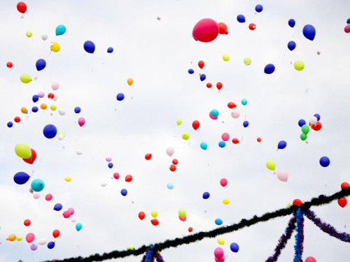 Selber Heimat- und Wiesenfest – Foto 18
