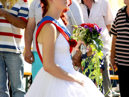 Selber Heimat- und Wiesenfest – Foto 45