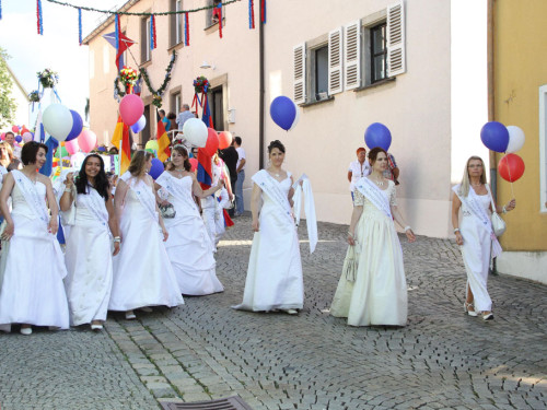 Selber Heimat- und Wiesenfest – Foto 49