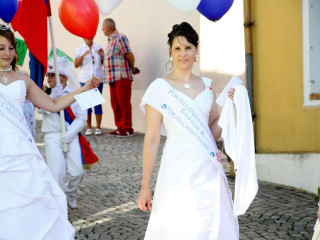 Foto 24505 im Album