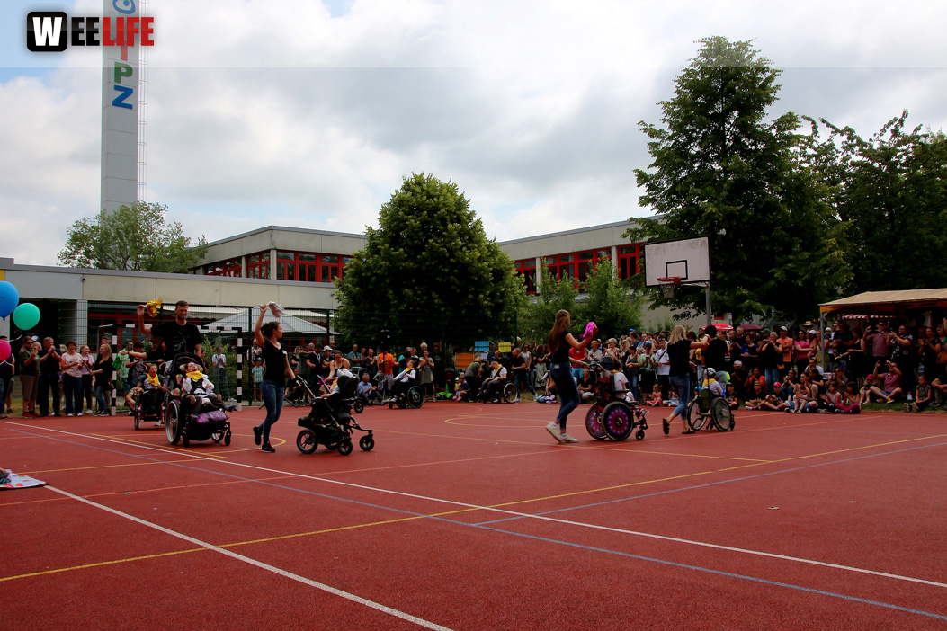 TPZ Sommerfestl