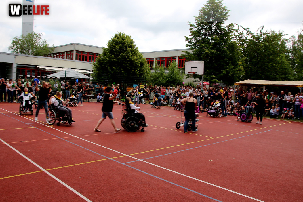 TPZ Sommerfestl