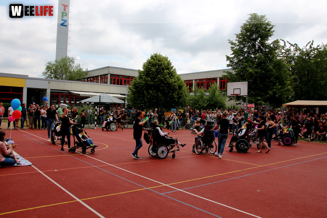 TPZ Sommerfestl