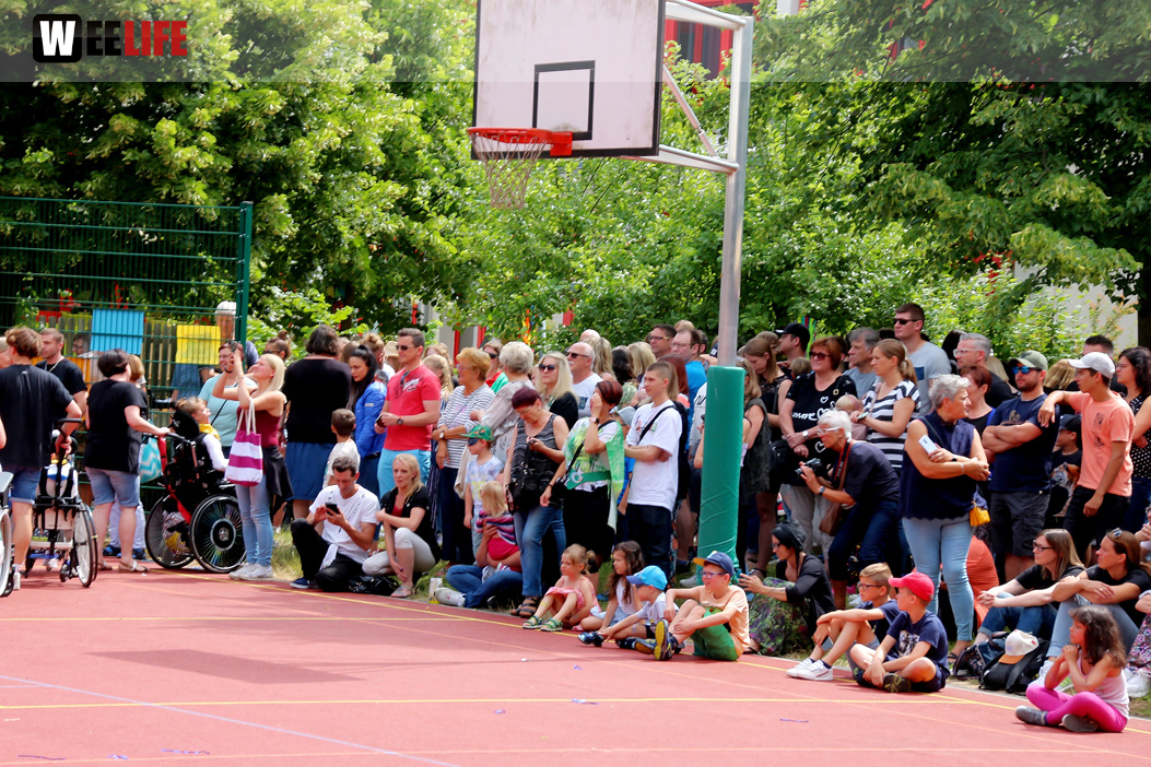 TPZ Sommerfestl