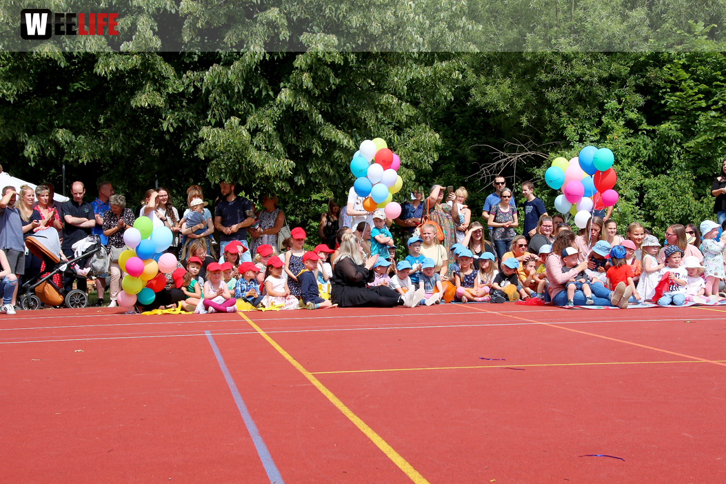 TPZ Sommerfestl