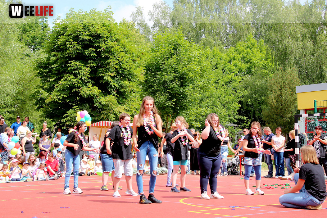 TPZ Sommerfestl
