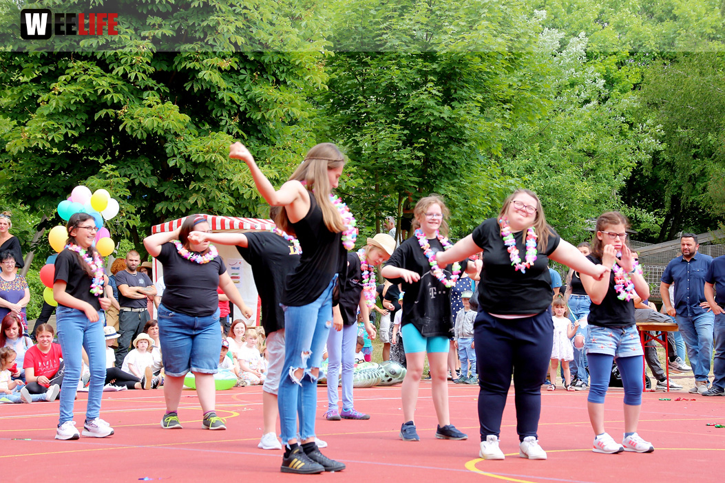 TPZ Sommerfestl