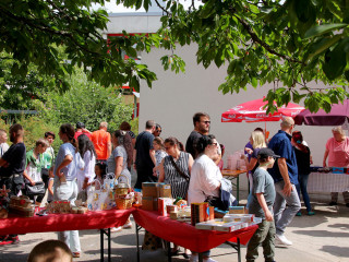 Foto 245225 im Album