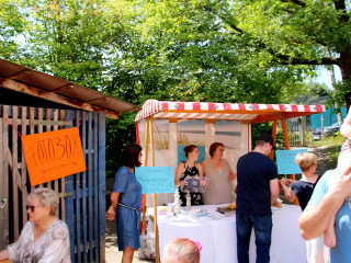 Foto 245231 im Album