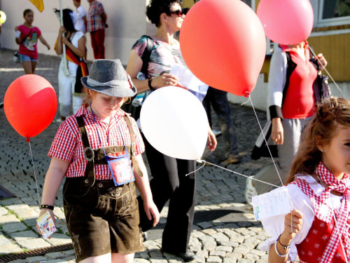 Selber Heimat- und Wiesenfest – Foto 79