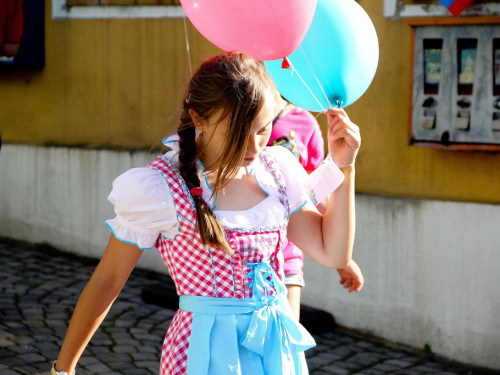 Selber Heimat- und Wiesenfest – Foto 80