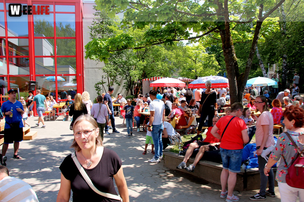 TPZ Sommerfest mit Geschwister Kemnitzer 