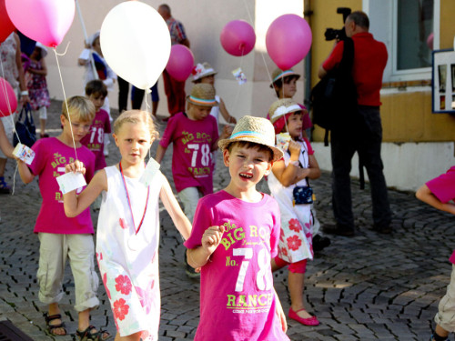 Selber Heimat- und Wiesenfest – Foto 88