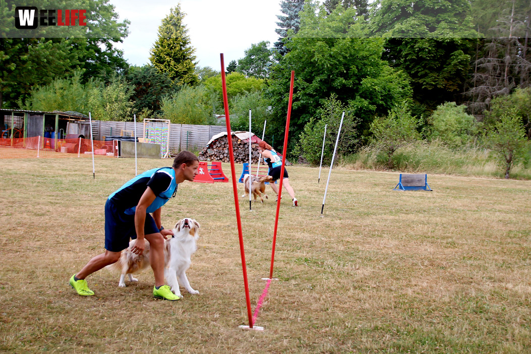 Bayerische Meisterschaft im Turnierhundesport