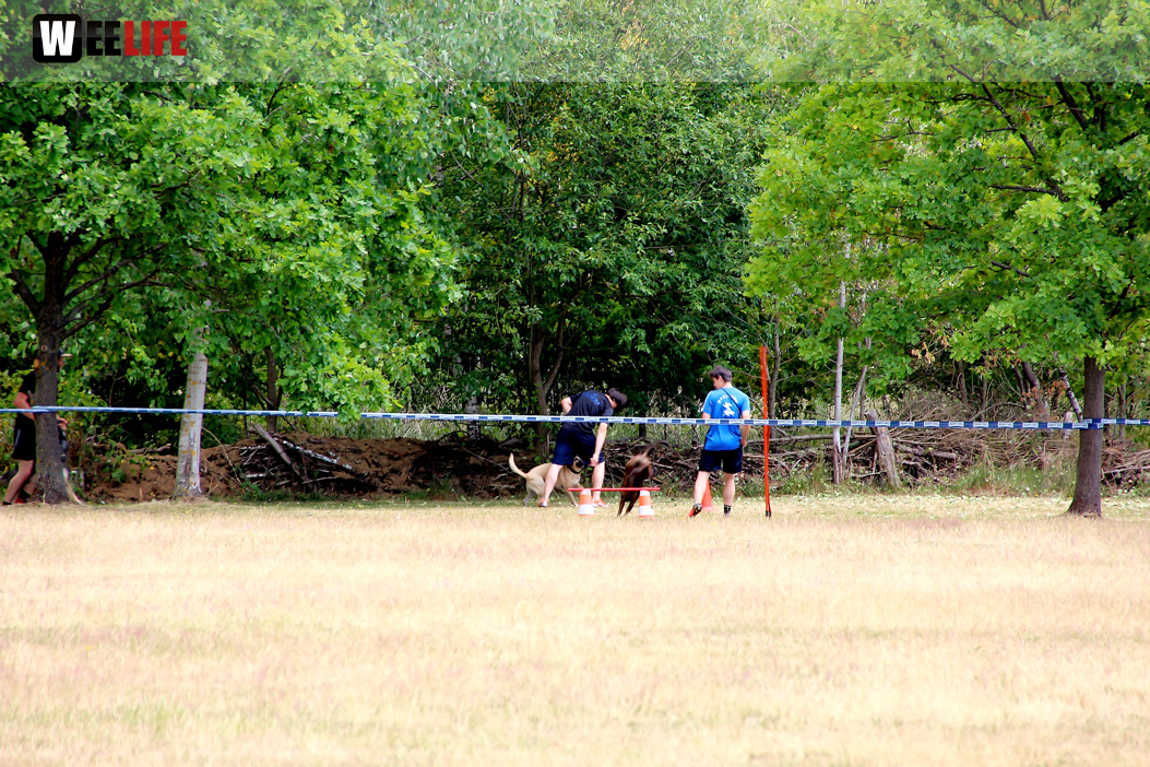 Bayerische Meisterschaft im Turnierhundesport