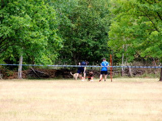 Foto 245424 im Album
