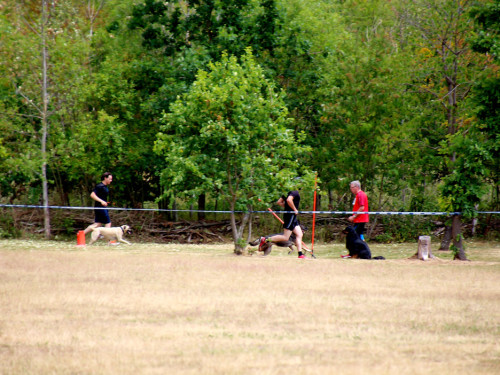 Bayerische Meisterschaft im Turnierhundesport – Foto 6