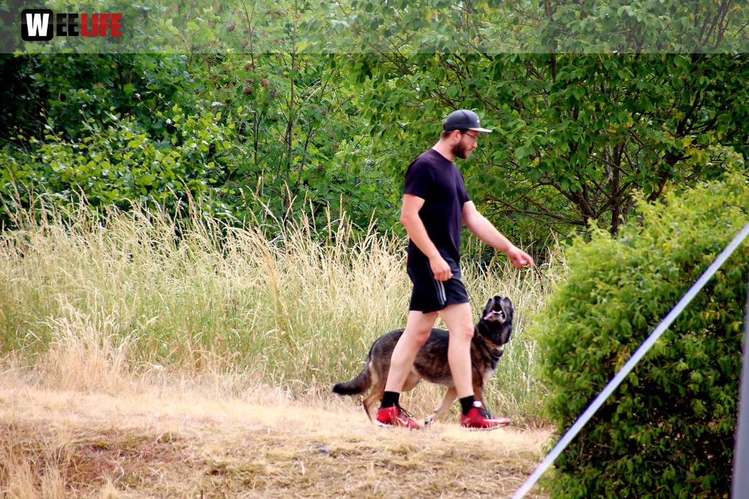 Bayerische Meisterschaft im Turnierhundesport