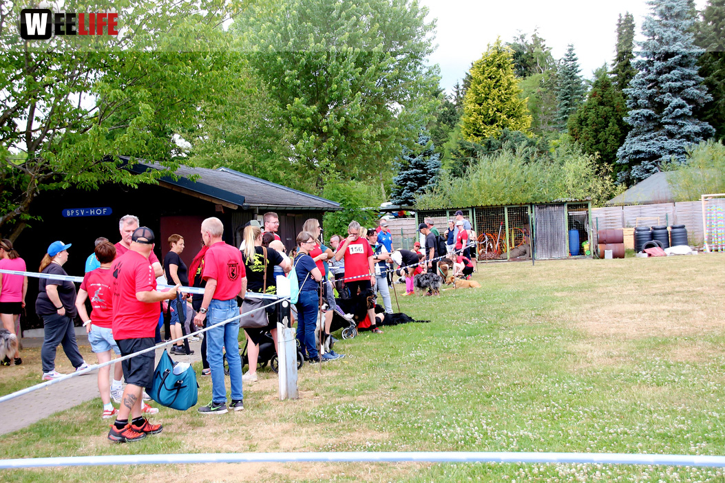 Bayerische Meisterschaft im Turnierhundesport