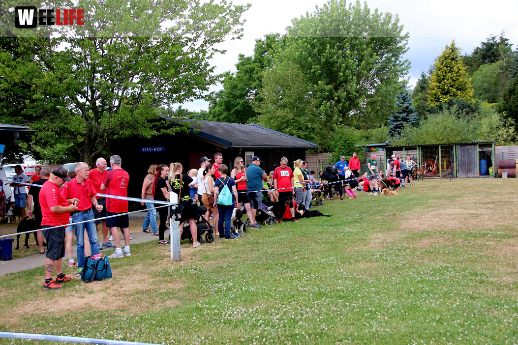 Bayerische Meisterschaft im Turnierhundesport