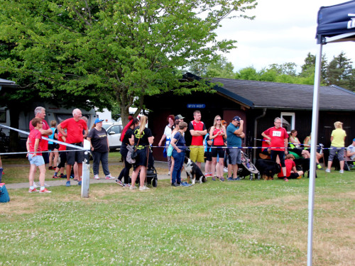 Bayerische Meisterschaft im Turnierhundesport – Foto 19