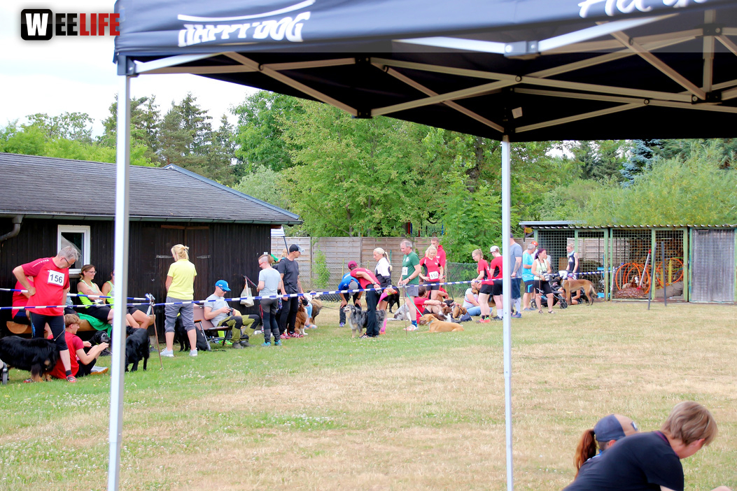 Bayerische Meisterschaft im Turnierhundesport