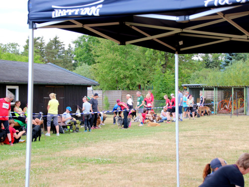 Bayerische Meisterschaft im Turnierhundesport – Foto 20