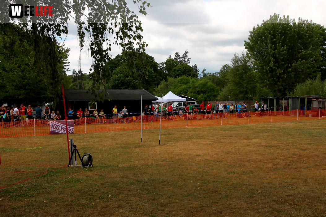 Bayerische Meisterschaft im Turnierhundesport
