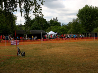 Foto 245440 im Album